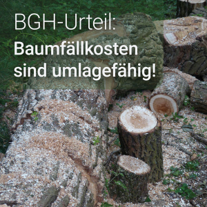 BGH-Urteil: Baumfällkosten sind umlagefähig