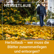 Herbstlaub – wer muss die Blätter zusammenfegen und entsorgen?