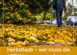 Herbstlaub – wer muss die Blätter zusammenfegen und entsorgen?