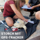 Jungstorch erhält GPS-Tracker in einem Rucksack